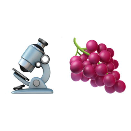 🔬🍇 Emoji Domain iOS rendering